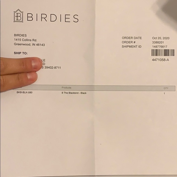 Birdies The Blackbird - Picture 5 of 6